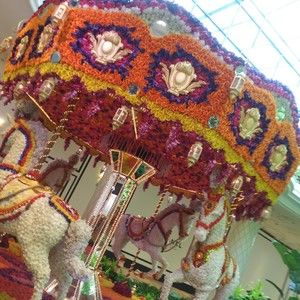 Meet your Posher, Nina